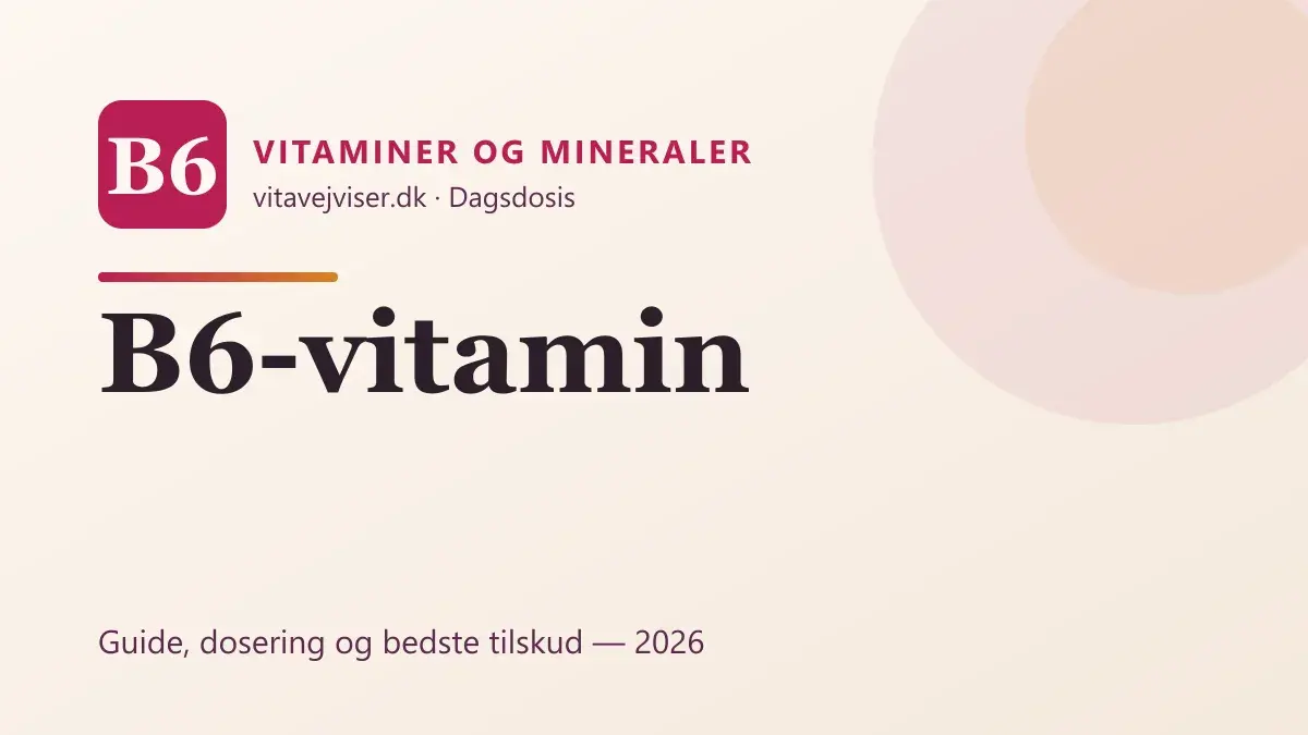 B6-vitamin 2026 – funktion, dosering, P-5-P og bedste tilskud
