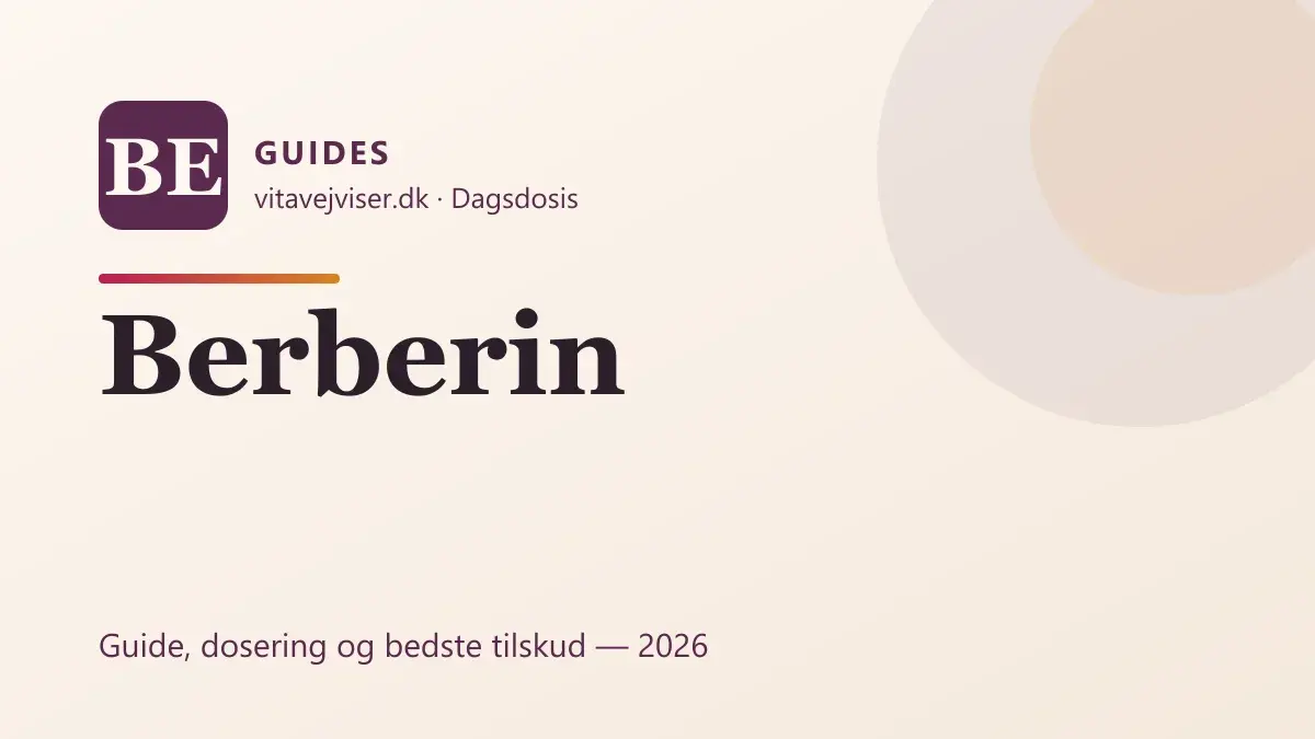 Berberin 2026 – virkning, dosering og ærlig snak om hypen