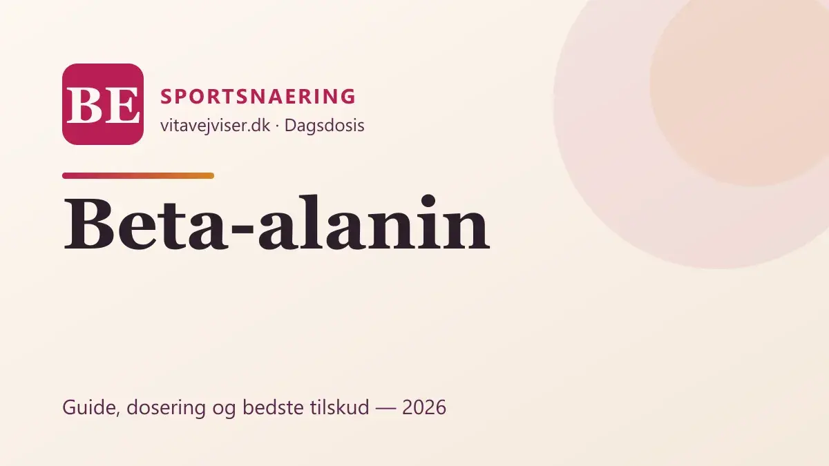 Beta-alanin 2026 – virkning, dosering og bedste tilskud