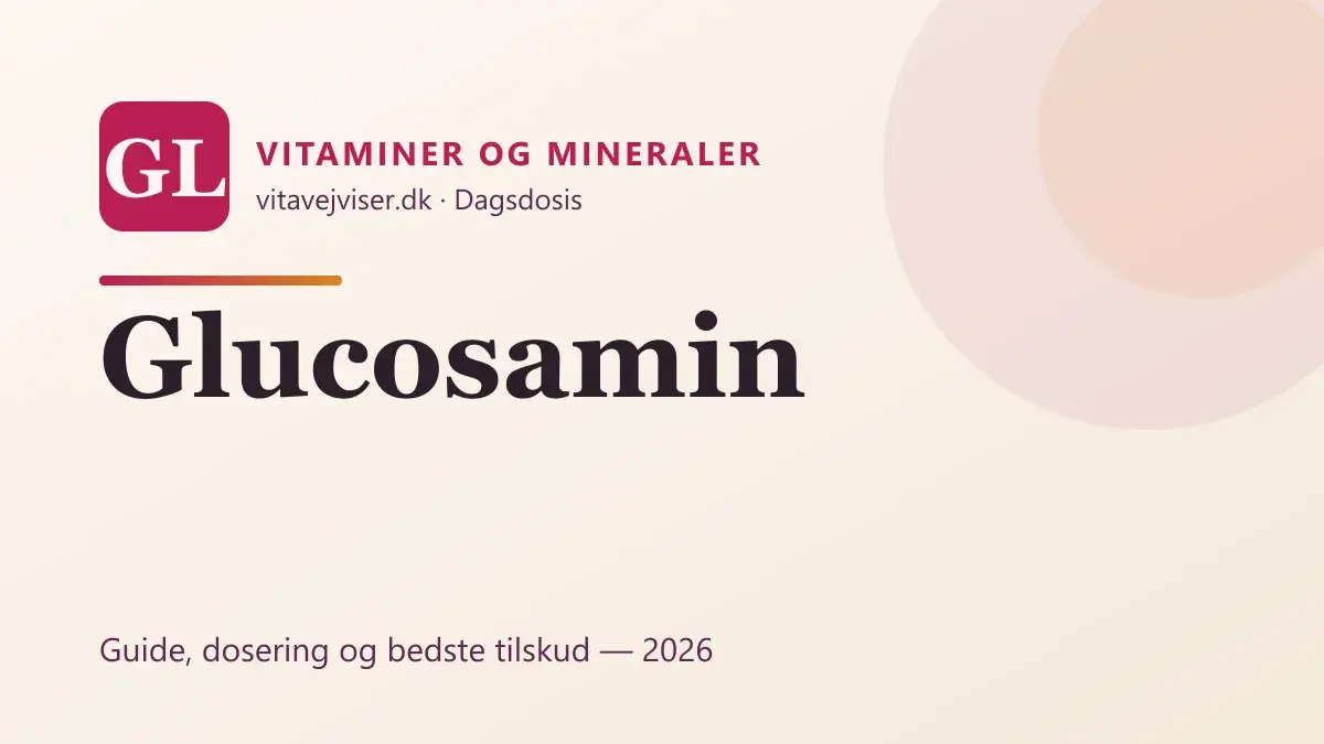 Glucosamin 2026 – virkning, dosering og bedste tilskud til leddene