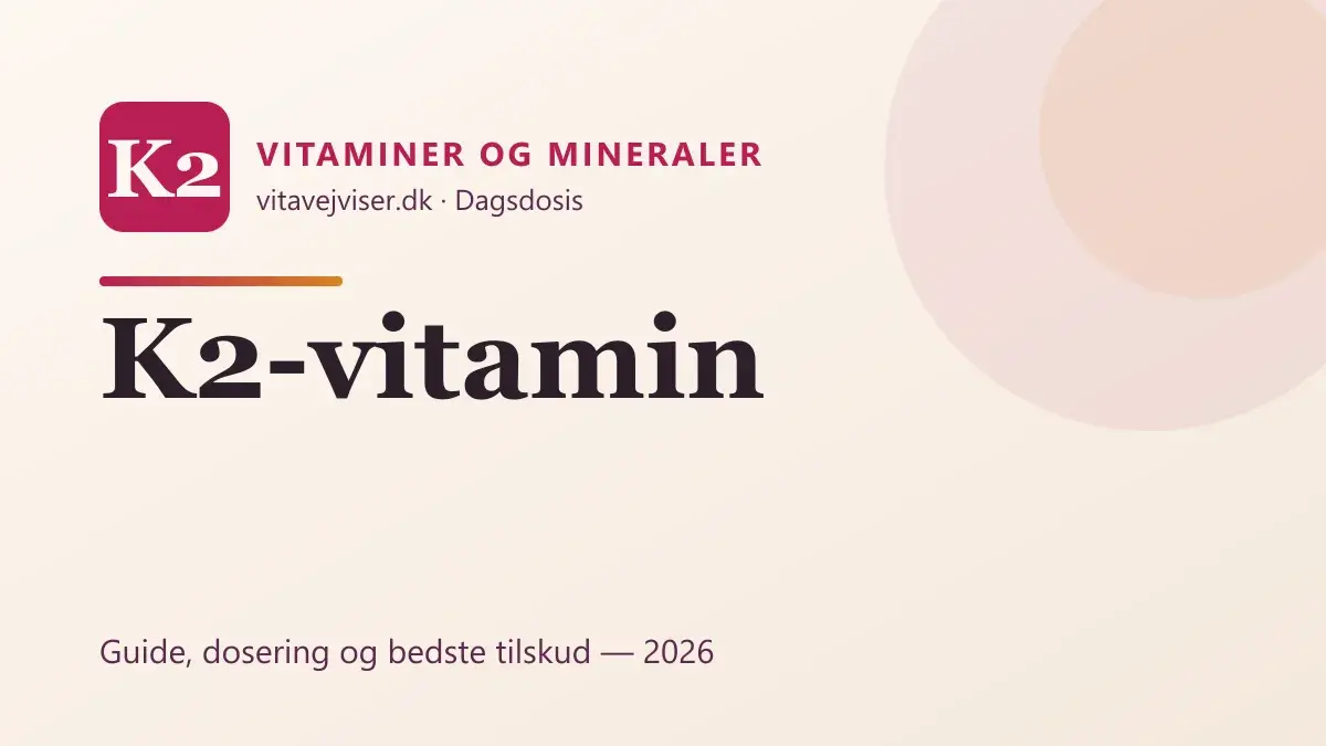 K2-vitamin 2026 – funktion, MK-7 vs MK-4 og bedste tilskud