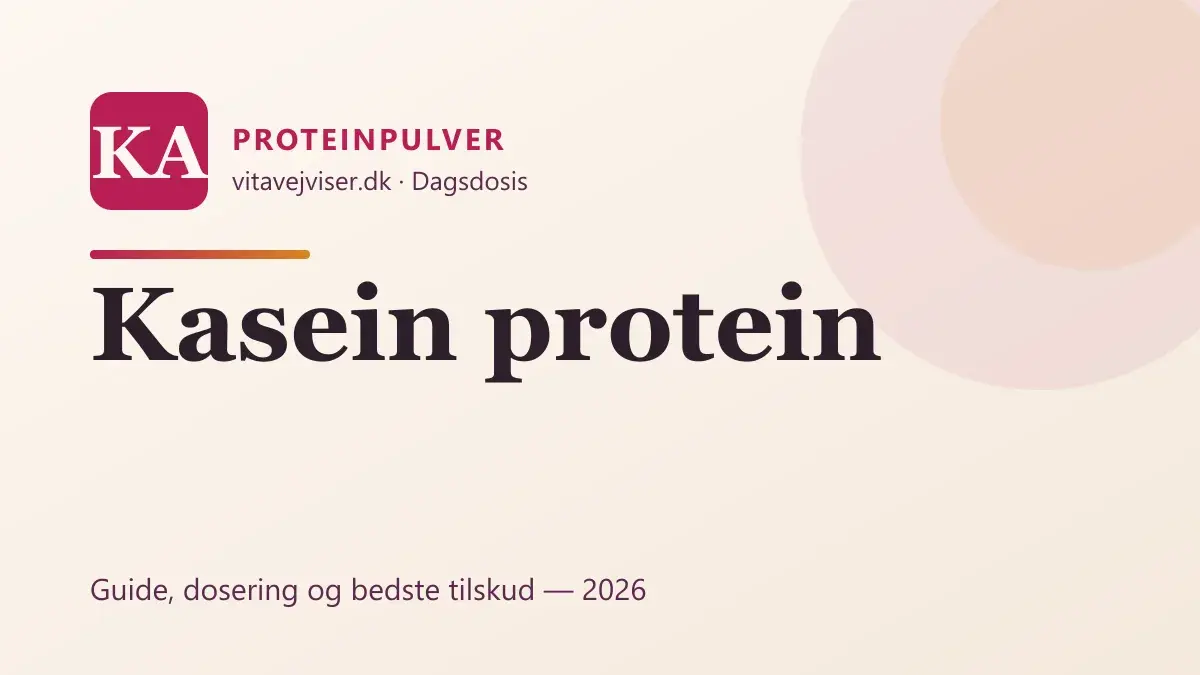 Kasein protein 2026 – guide til langsomt protein og bedste valg