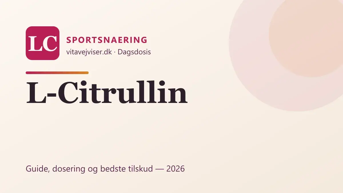 L-Citrullin 2026 – guide til dosering, pump og bedste tilskud
