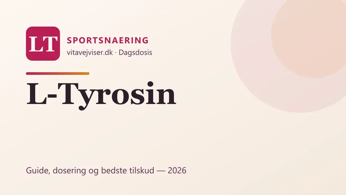 L-Tyrosin 2026 – virkning, dosering og bedste tilskud