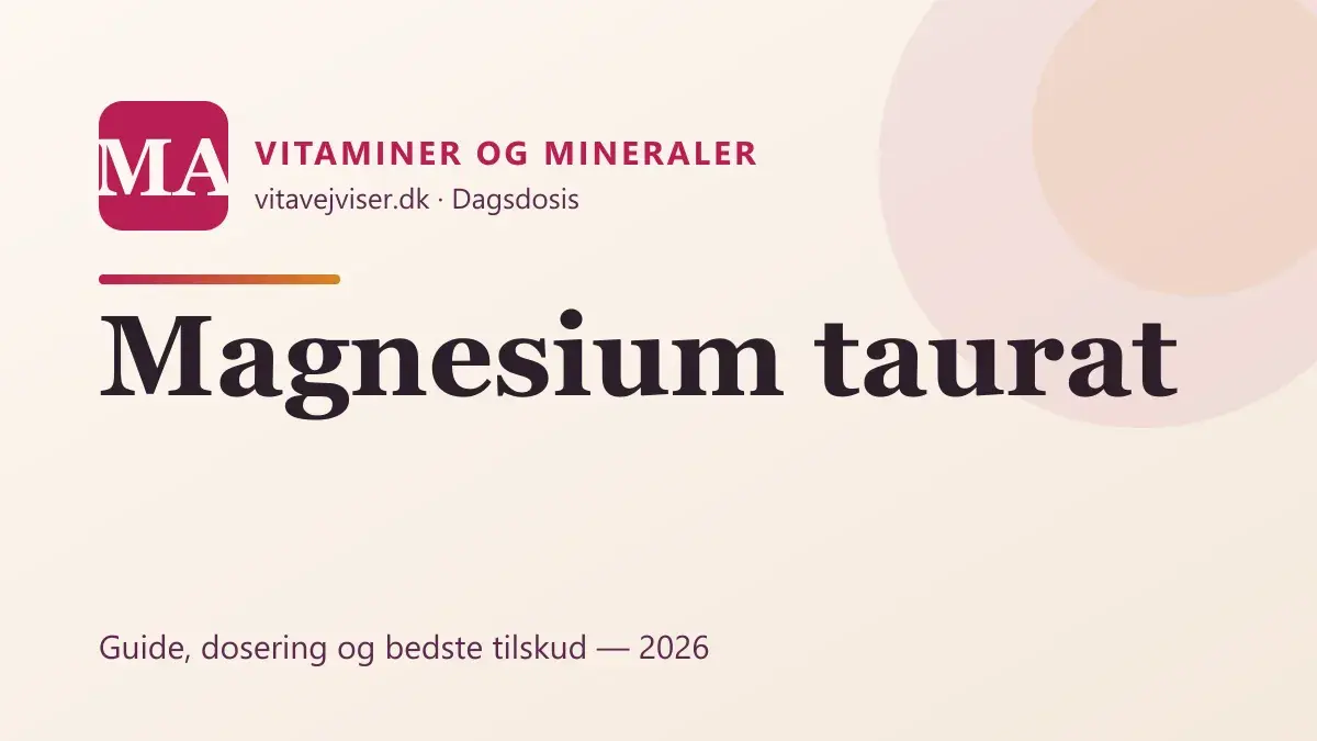 Magnesium taurat 2026 – til hjerte, ro og søvn
