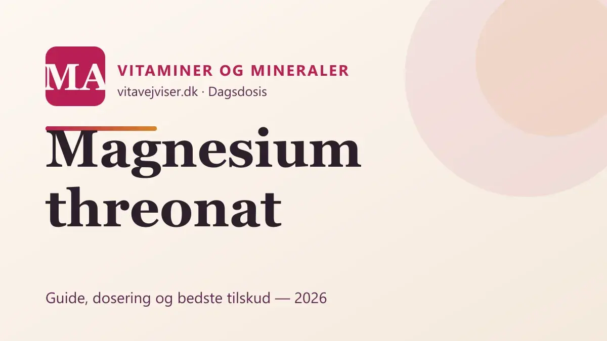 Magnesium threonat 2026 – hjernens magnesium, virker det?