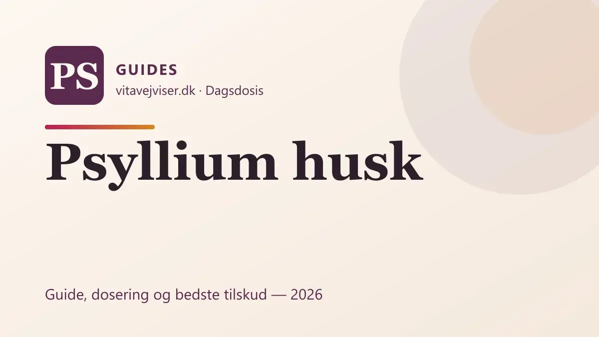 Psyllium husk 2026 – virkning, dosering og bedste loppefrøskaller