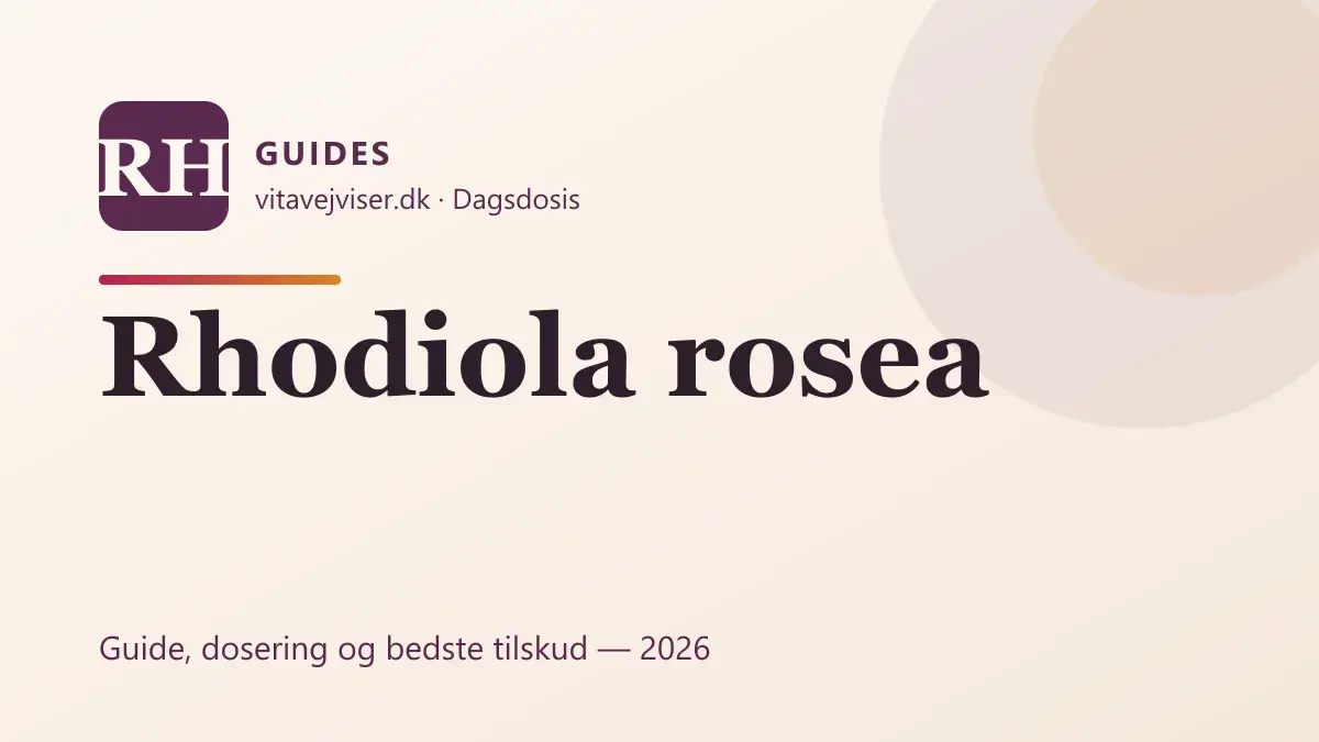 Rhodiola rosea 2026 – rosenrod mod stress, dosering og bedste tilskud