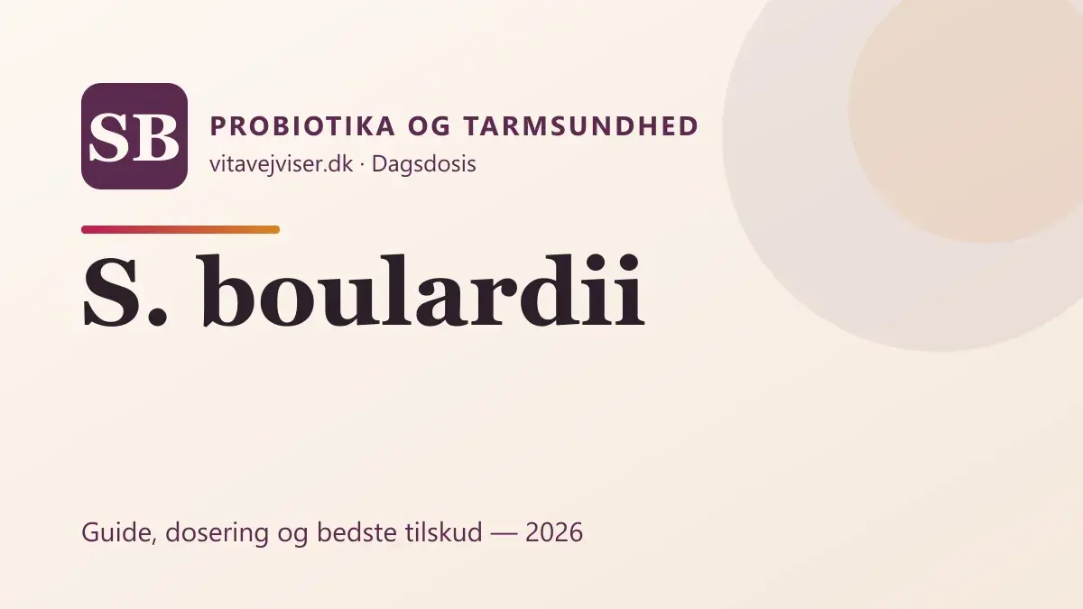 Saccharomyces boulardii 2026 – virkning, CFU og bedste tilskud