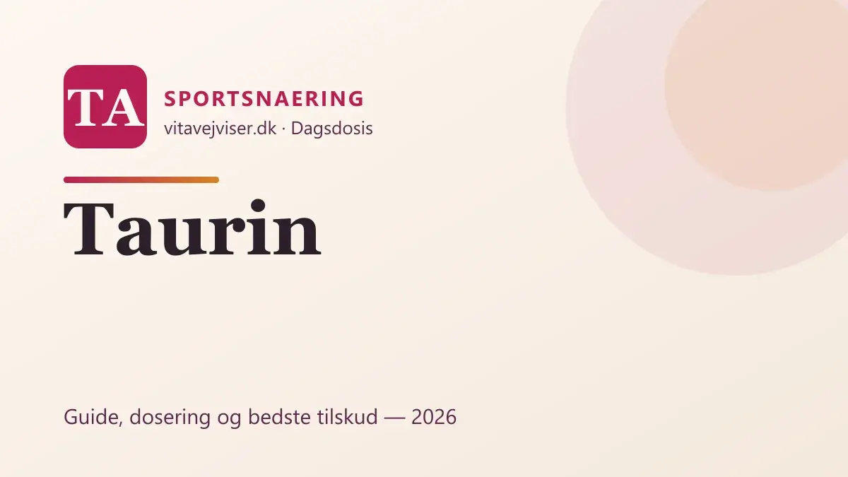 Taurin 2026 – virkning, dosering og bedste tilskud