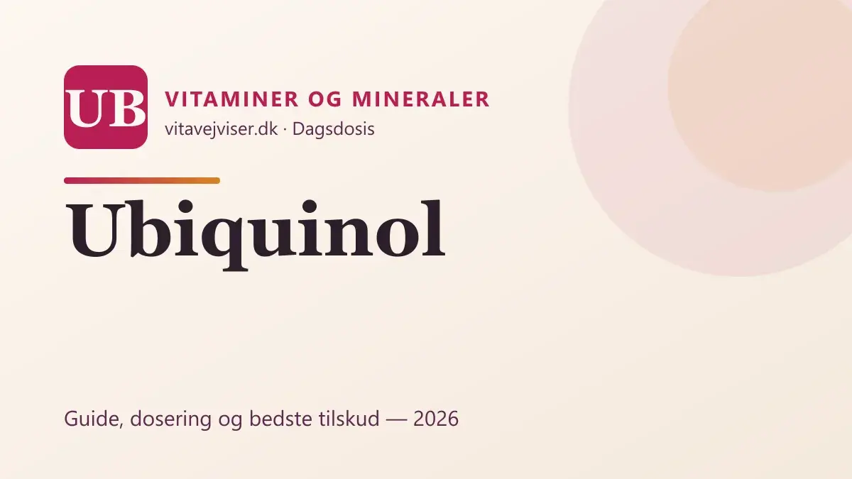 Ubiquinol 2026 – aktiv Q10, virkning og bedste tilskud