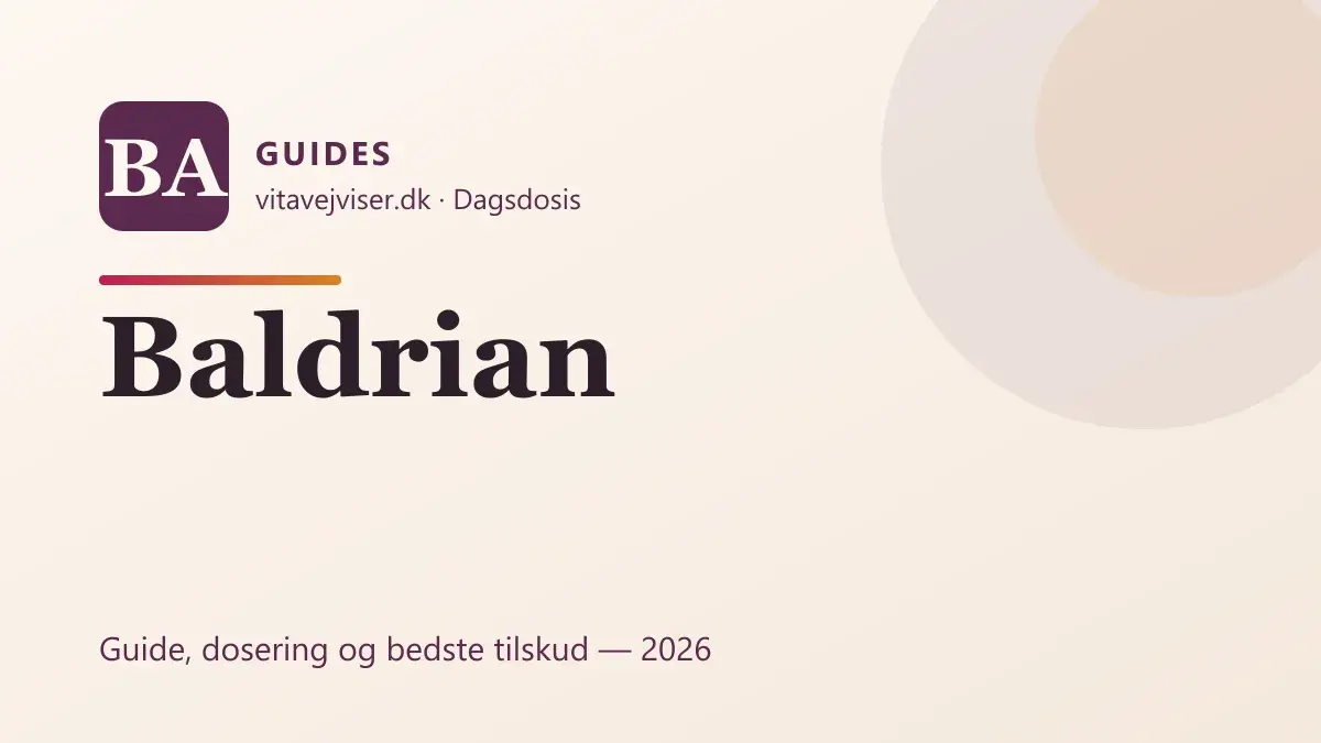Baldrian (valerian) 2026 – virkning, dosering og bedste søvntilskud